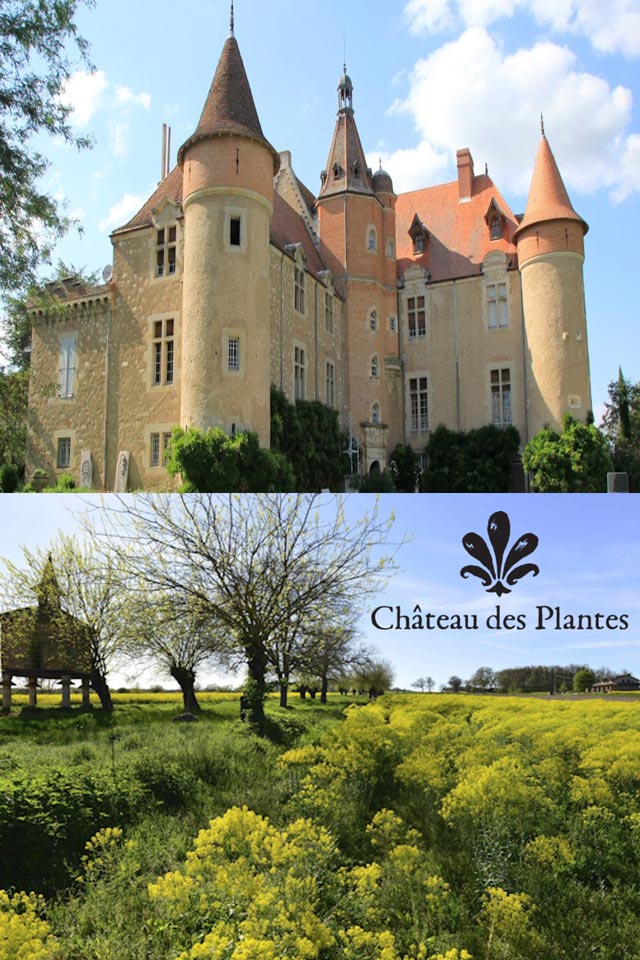 Château La Serre Cambounet-sur-le-sor